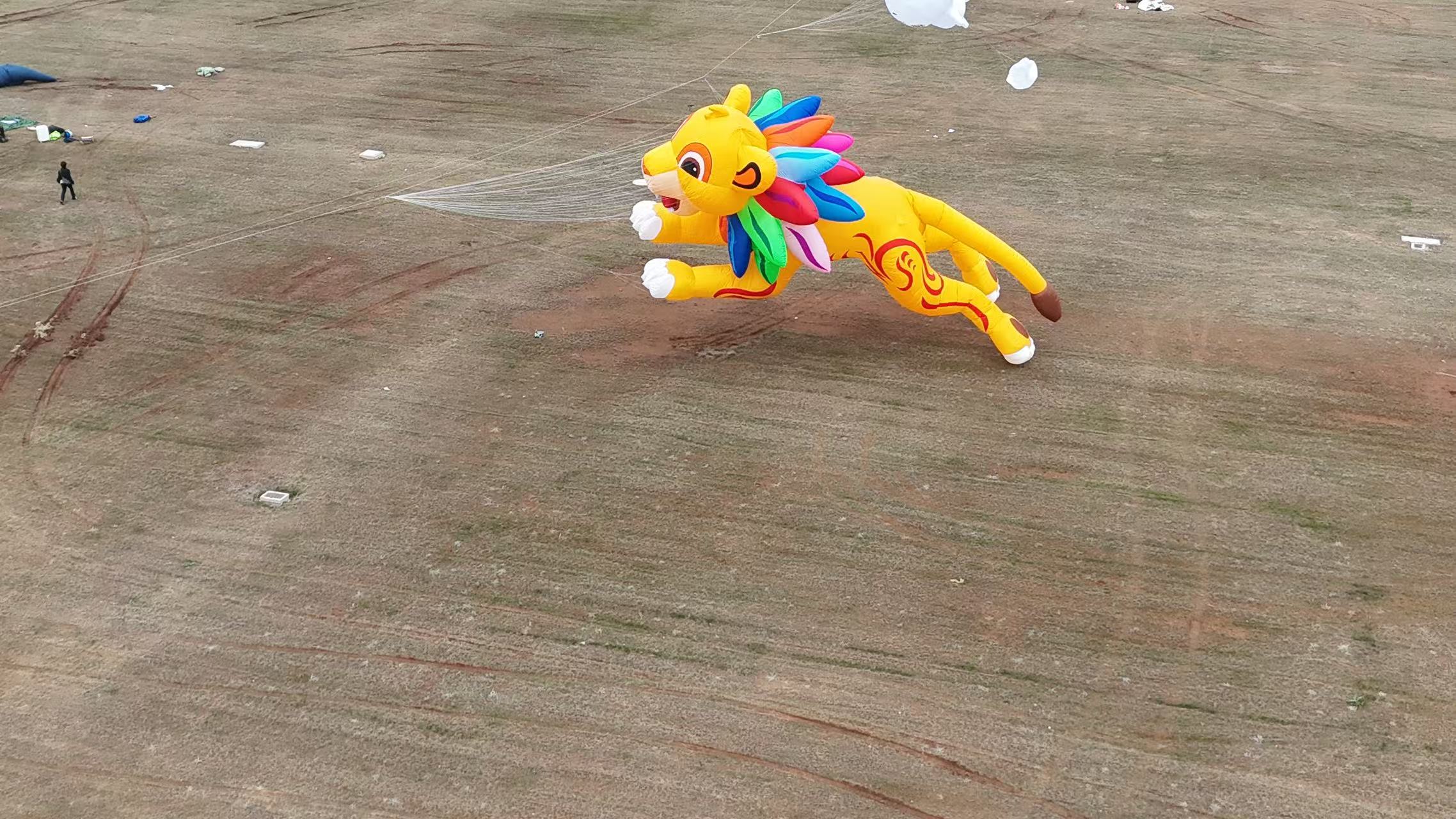 德州市品牌风筝定制儿童风筝定制 - 哪里好