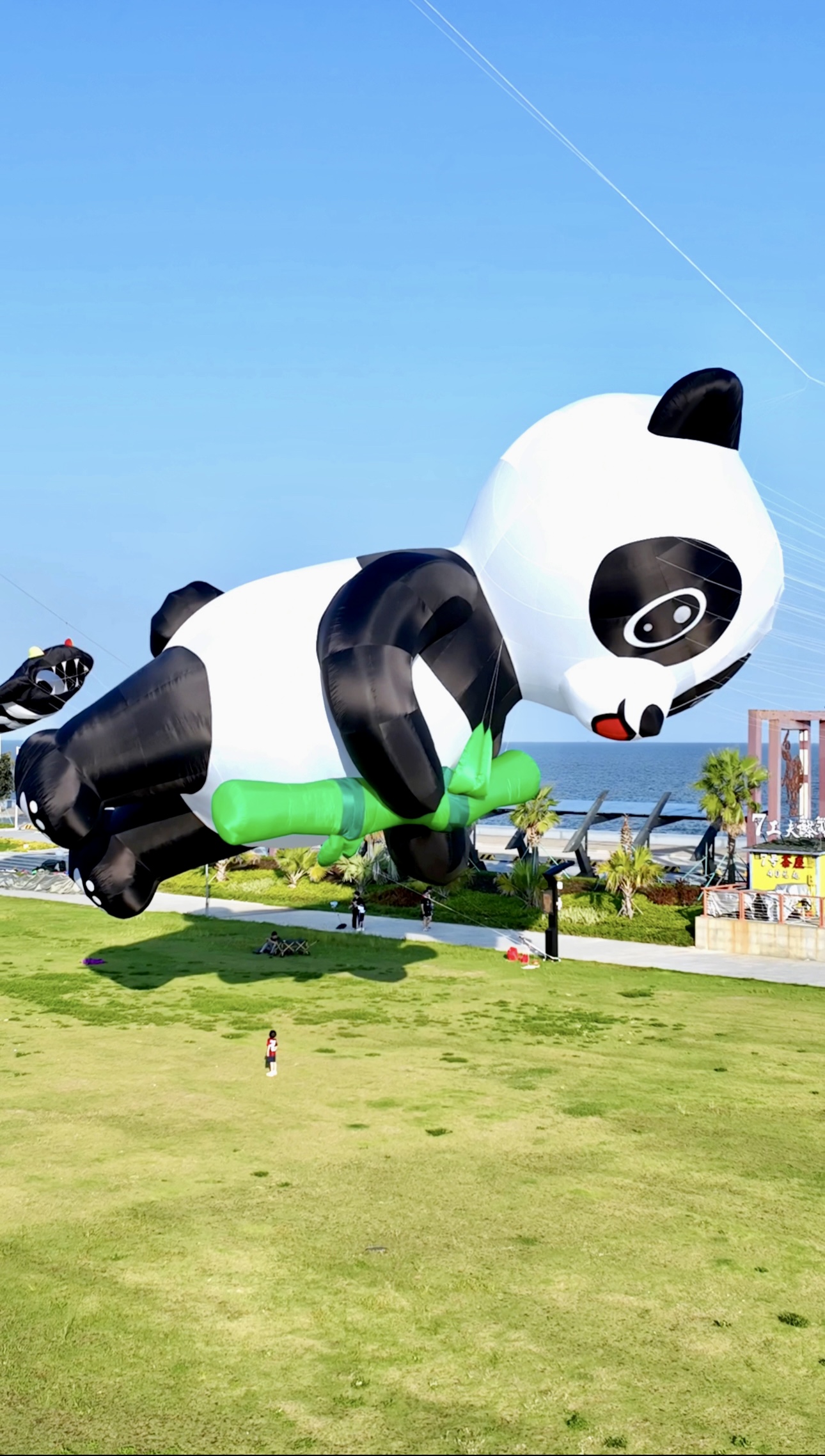 德州市宣传风筝定制风筝放飞活动策划 - 哪里好