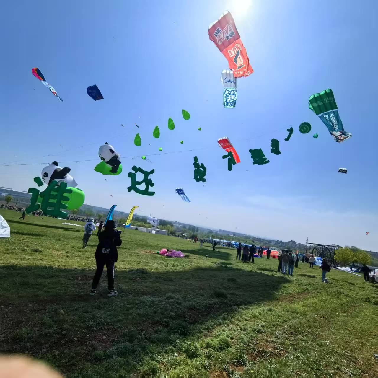 德州市风筝商业放飞风筝定制 - 方案